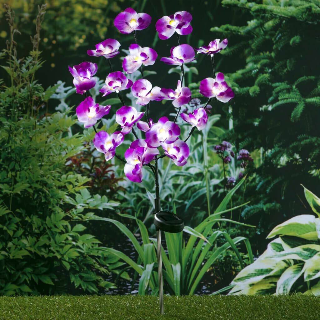 Haushalt International Orchid LED Garden Light 20 LEDs 75 cm Lámparas de exterior