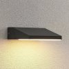 Lámparas de exterior Lucande Auda LED outdoor wall light