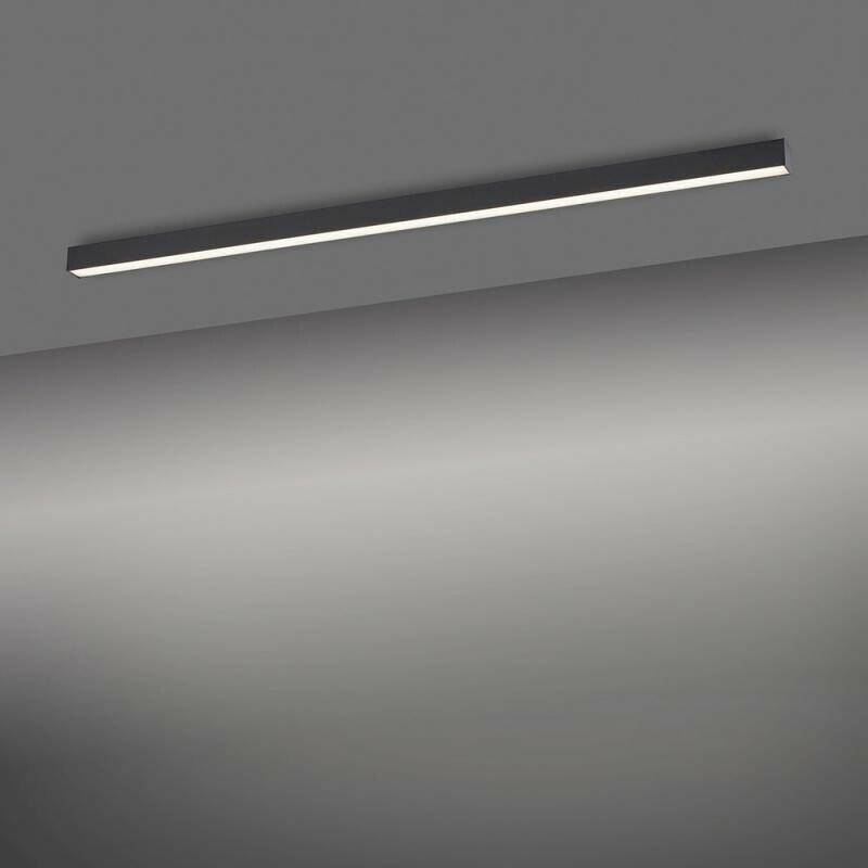 Paul Neuhaus Pure Lines LED ceiling light anthracite Lámparas