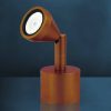 Lámparas Busch Mini LED table lamp, swiveling, antique, 5,000K